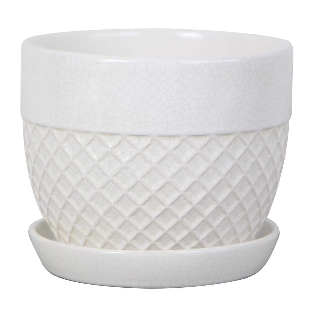 Trendspot 6 in. White Acorn Ceramic Planter CR10732S-060W2