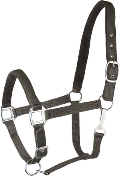 Gatsby Suede Padded Nylon Horse Halter