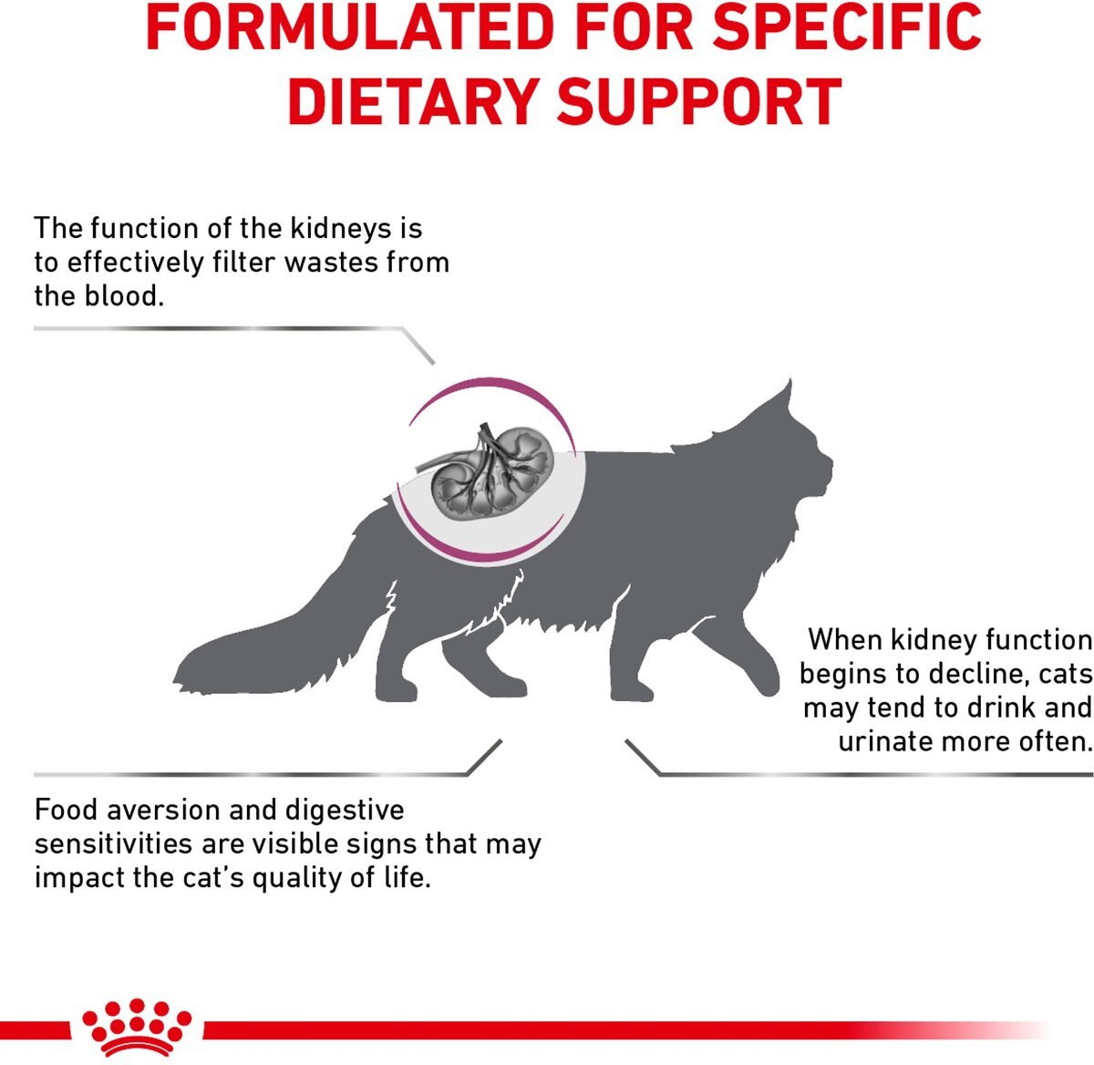 Royal Canin Veterinary Diet Adult Renal Support A Dry Cat Food