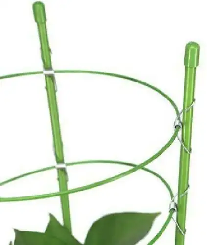 Wholesale supply durable climbing plant support cage garden trellis tomato flower 3 rings