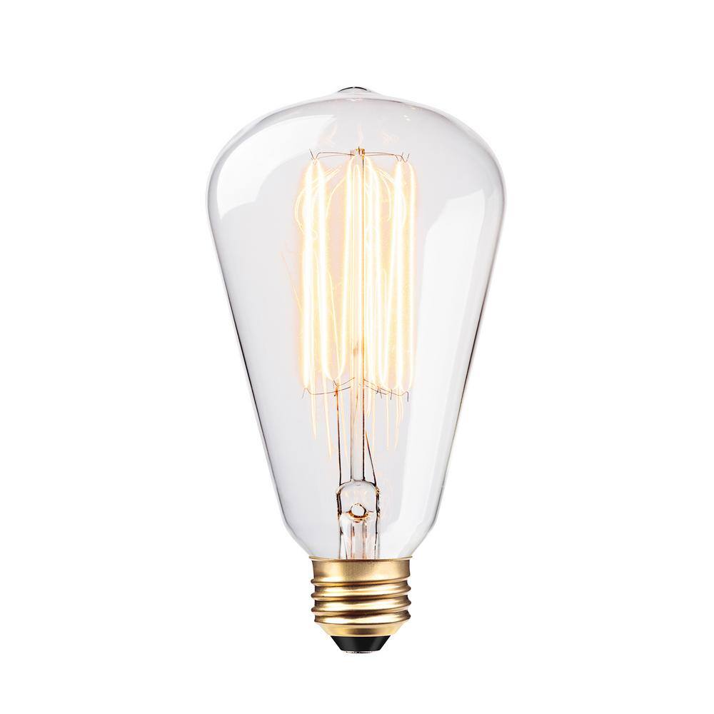 Globe Electric 60 Watt S-Shape Dimmable Cage Filament Vintage Edison Incandescent Light Bulb Warm Candle Light 83008