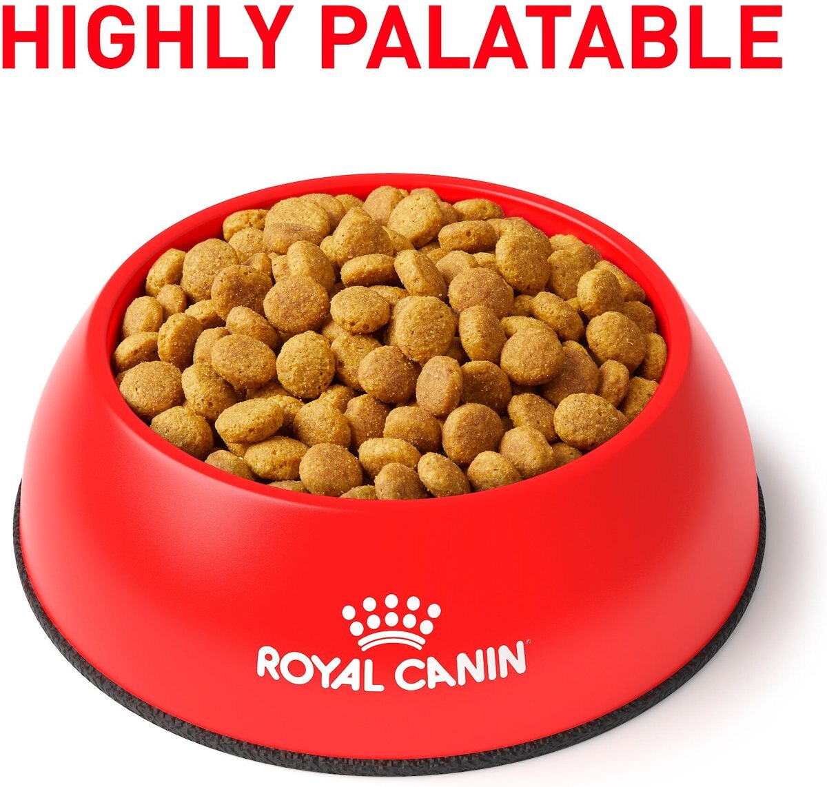 Royal Canin Veterinary Diet Adult Gastrointestinal Moderate Calorie Dry Cat Food