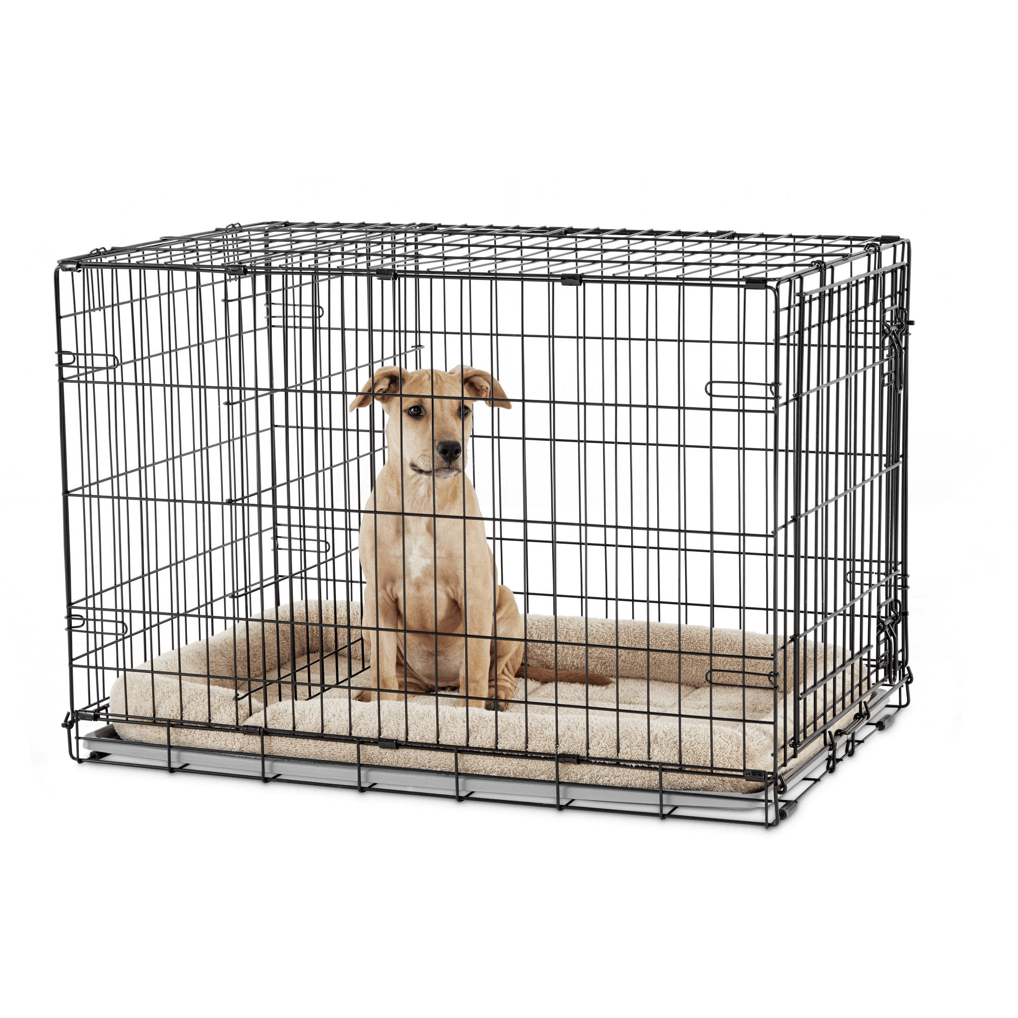 EveryYay Going Places 1-Door Folding Dog Crate， 36