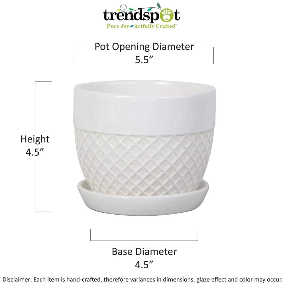 Vigoro 6 in. Delilah Small Glazed White Textured Ceramic Planter (6 in. D x 5 in. H) with Drainage Hole and Attached Saucer CR10732S-060W2