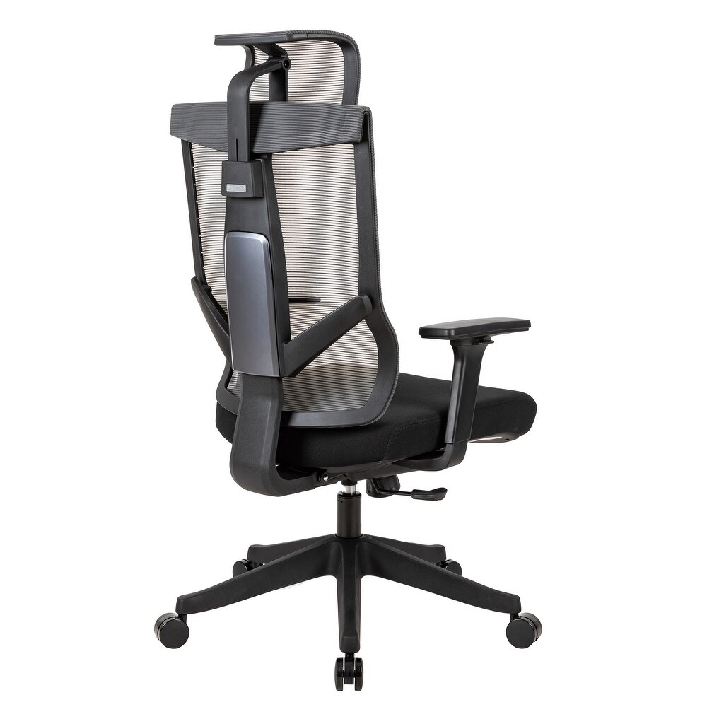 High Back Armrest Office Chair Computer Chair with Chase Back Function