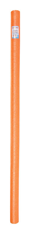 POOL NOODLE 56