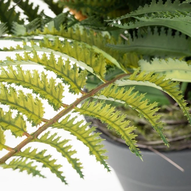 Artificial Plump and Full Potted Fern 24