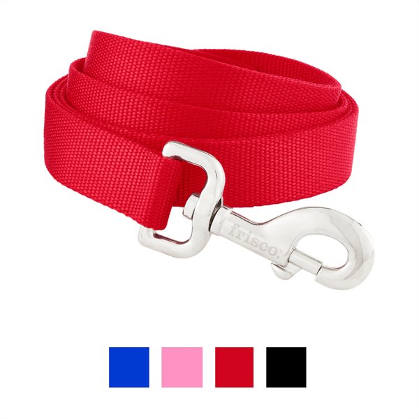 Frisco Solid Nylon Dog Leash