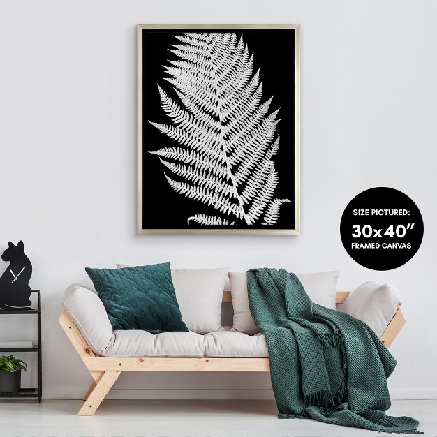 Americanflat White Fern Ii By Chaos amp Wonder Design Floating Canvas Frame Modern Wall Art Decor