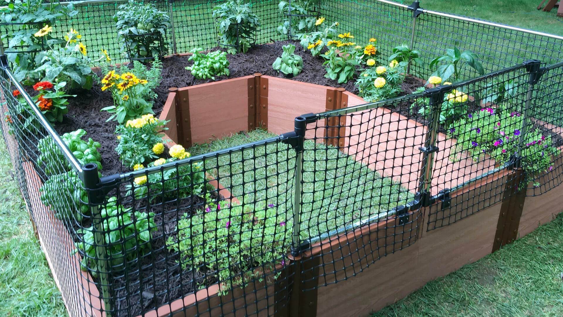 Walk-In 'Topolski' 8' x 8' Animal Barrier Raised Garden Bed - 2