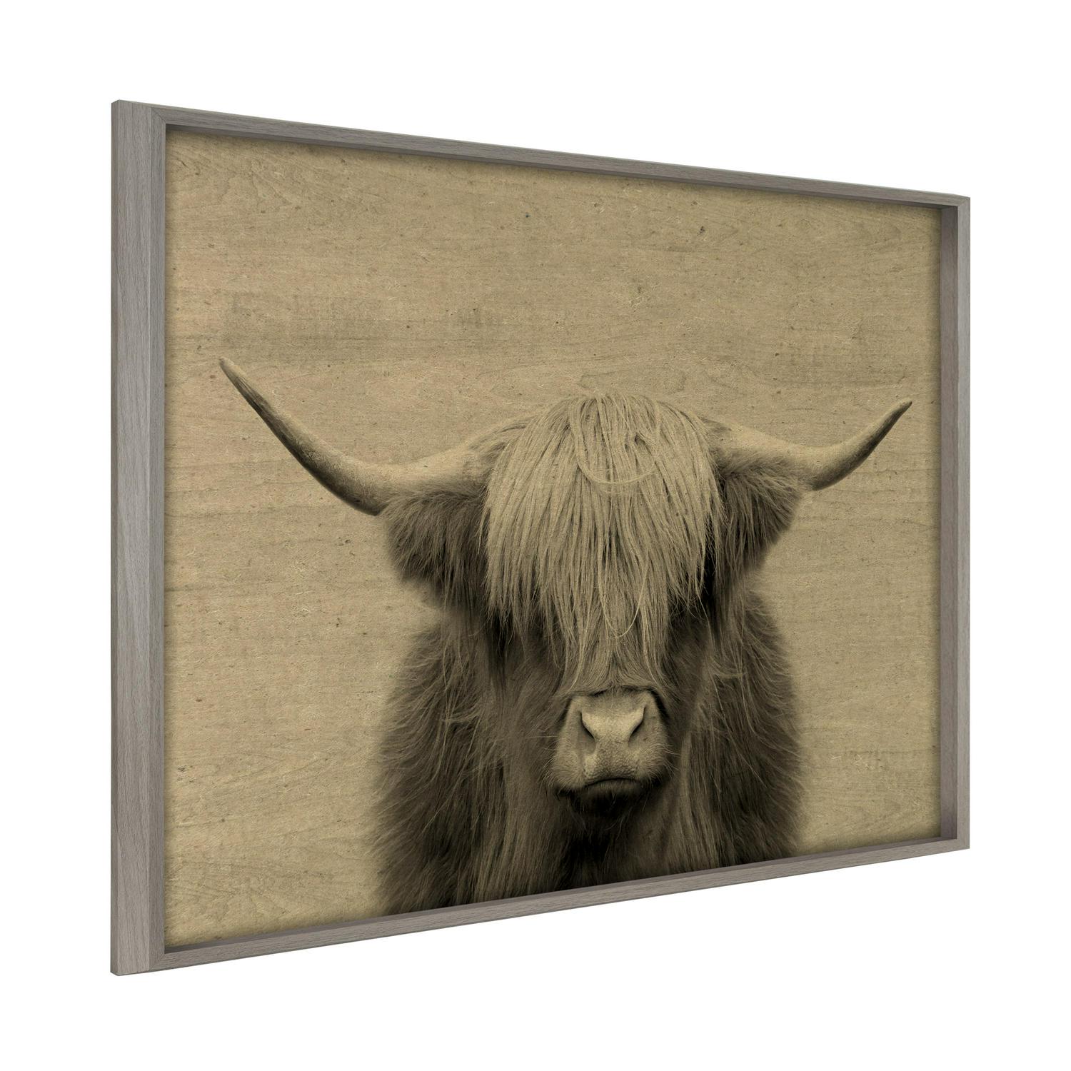 Kate and Laurel Blake Hey Dude Highland Cow Framed Printed Wood Wall Art by The Creative Bunch Studio 2421532 Graywash Chic Rustic Art for Wall  Crowdfused