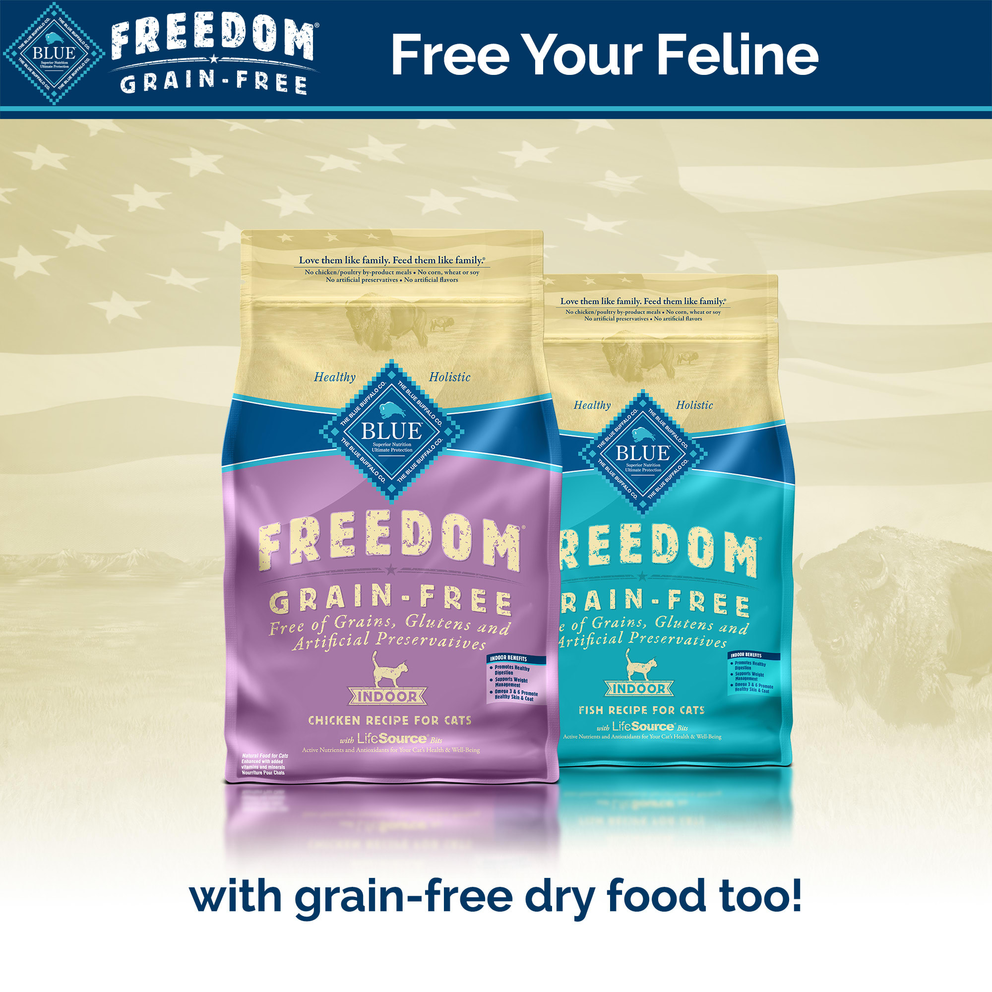 Blue Buffalo Blue Freedom Grain-Free Indoor Fish Recipe Wet Cat Food， 5.5 oz.， Case of 24