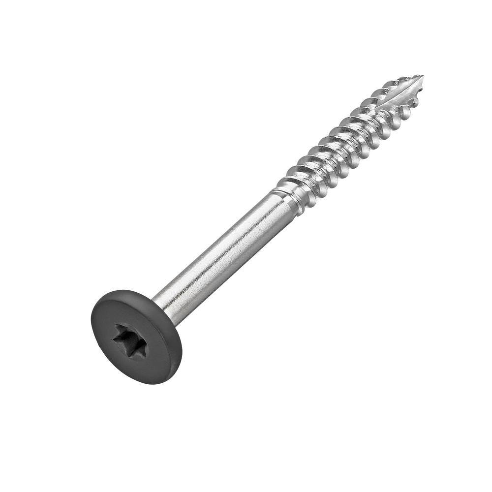 NewTechWood #9 x 1-78 in. Stainless Steel Star Drive Pan Head Composite Fascia Screw Hawaiian in Charcoal (100-Pack) CH-100-SS-FSC