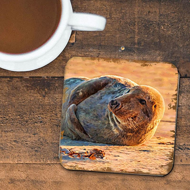 Seal Coastal Wooden Cork Coasters Gift Set of 4 by Nature Wonders