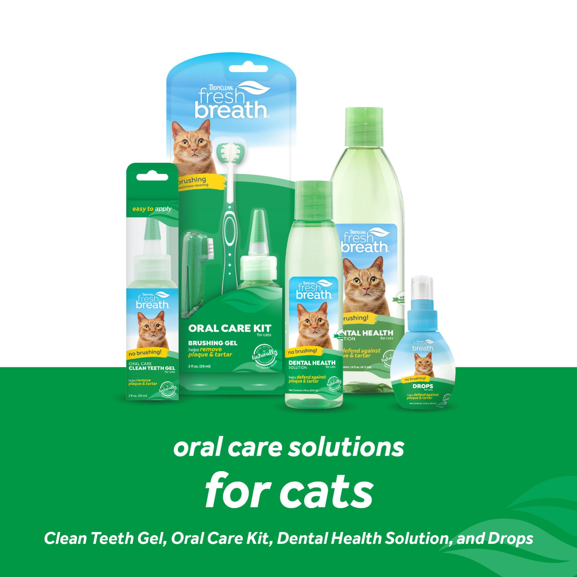 TropiClean Fresh Breath Dental Health Solution for Cats， 16 fl. oz.