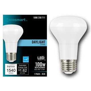 EcoSmart 100-Watt Equivalent R20 CEC Dimmable LED Light Bulb in Daylight 5000K (1-Bulb) A20R2050WT2001