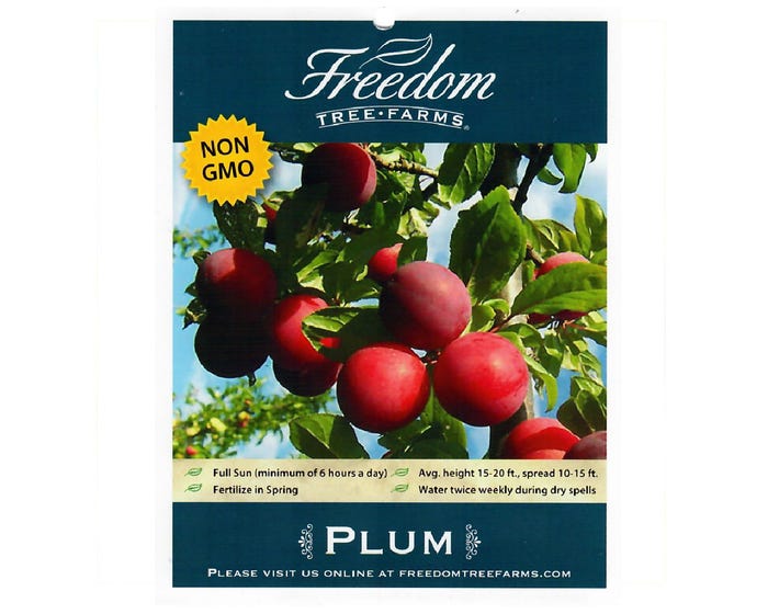 Freedom Tree Farms Methley Plum Tree in 5 Gallon Bucket