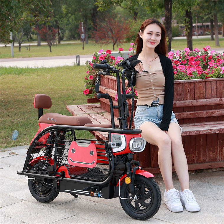 Adult Popular Foldable 350w 36v 10ah cycle  mini three wheeled electric bike  pet bike