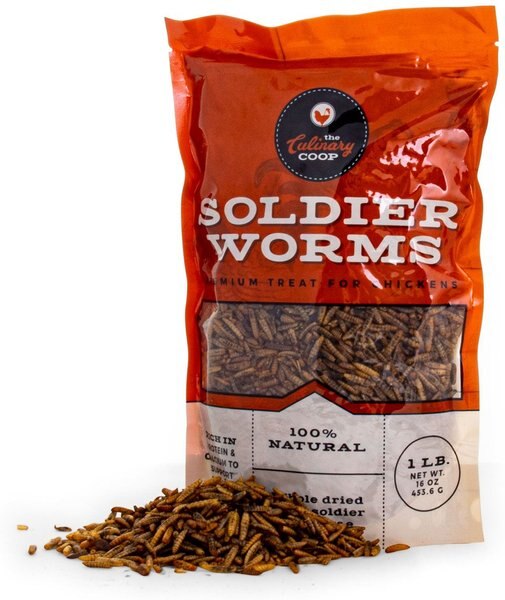 Culinary Coop Dried Soldier Worm Chicken Treats， 1-lb bag