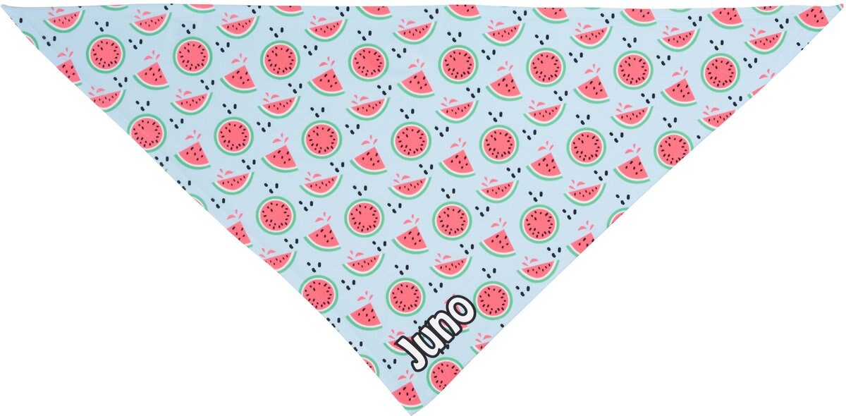 Frisco Watermelons Personalized Dog and Cat Bandana