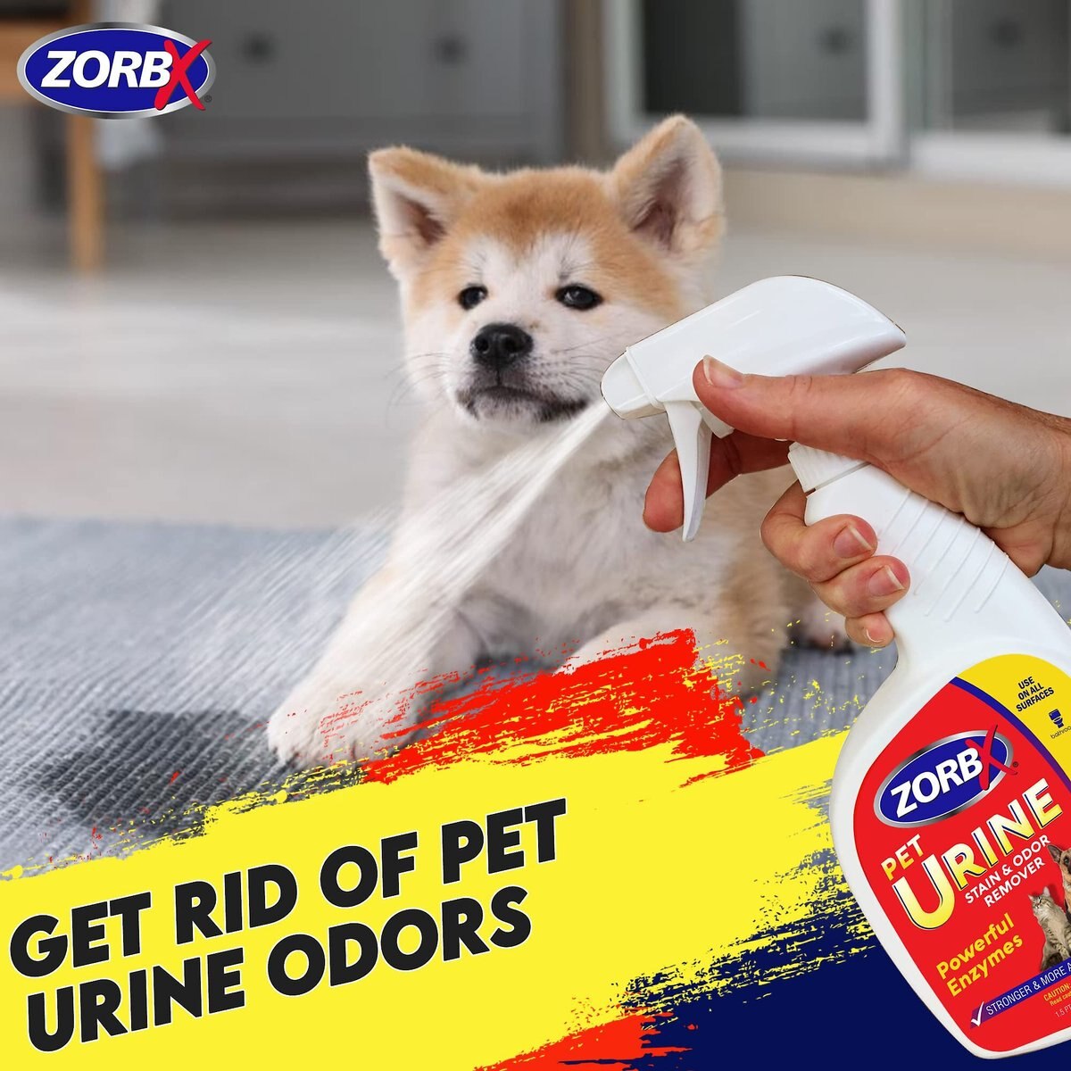 ZORBX Pet Urine Stain and Odor Remover， 24-oz bottle