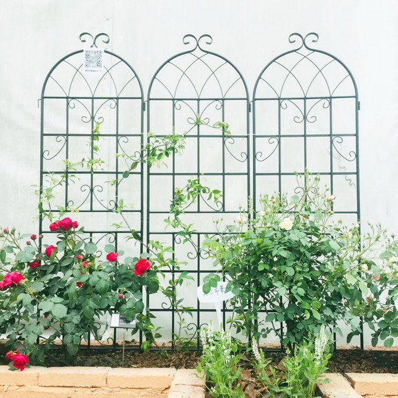 4 Pack Metal Garden Trellis 71 x 19.7 Rustproof ...