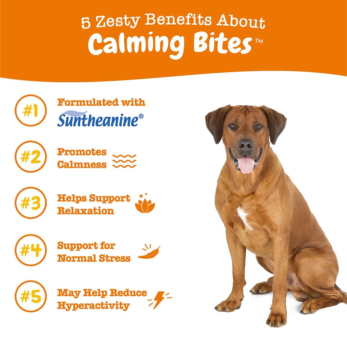 Zesty Paws Calming Bites Turkey Flavored Soft Chews Calming Supplement for Dogs