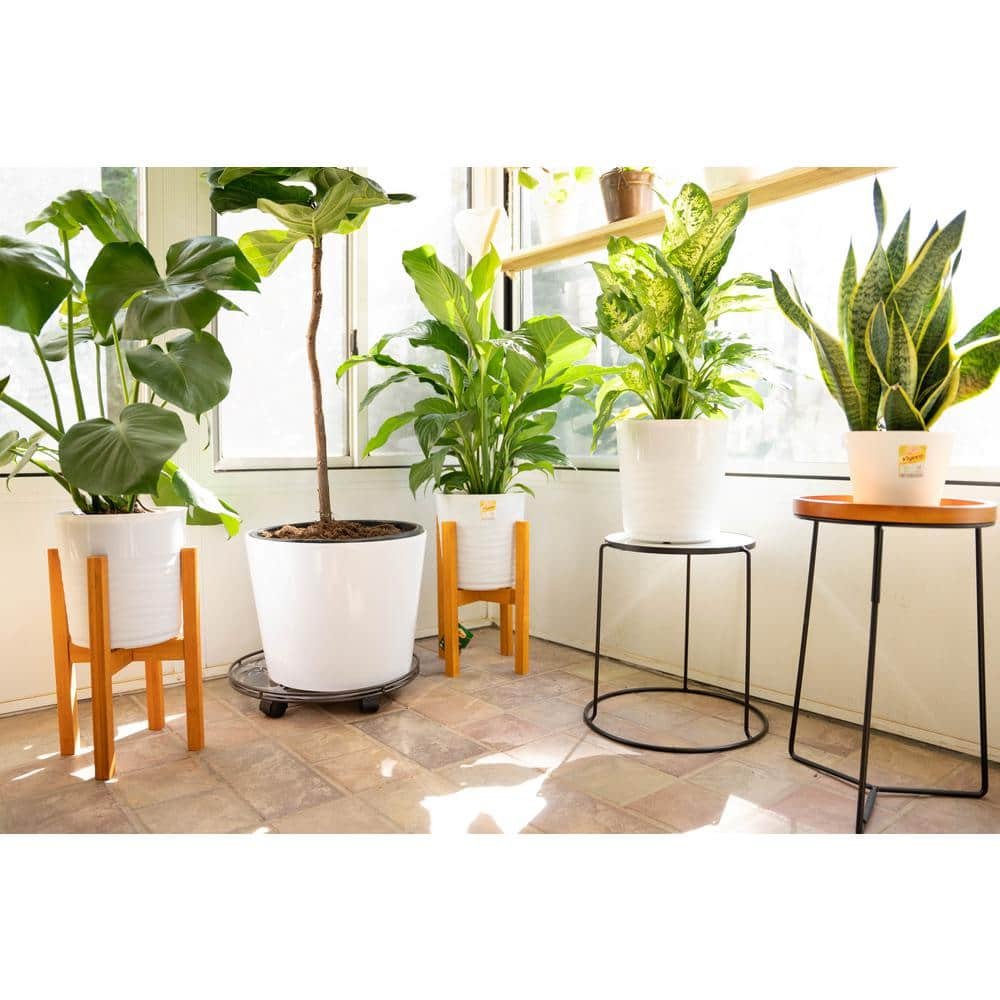 Vigoro 15 in. Marble Look Top Indoor Black Plant Stand 710267000