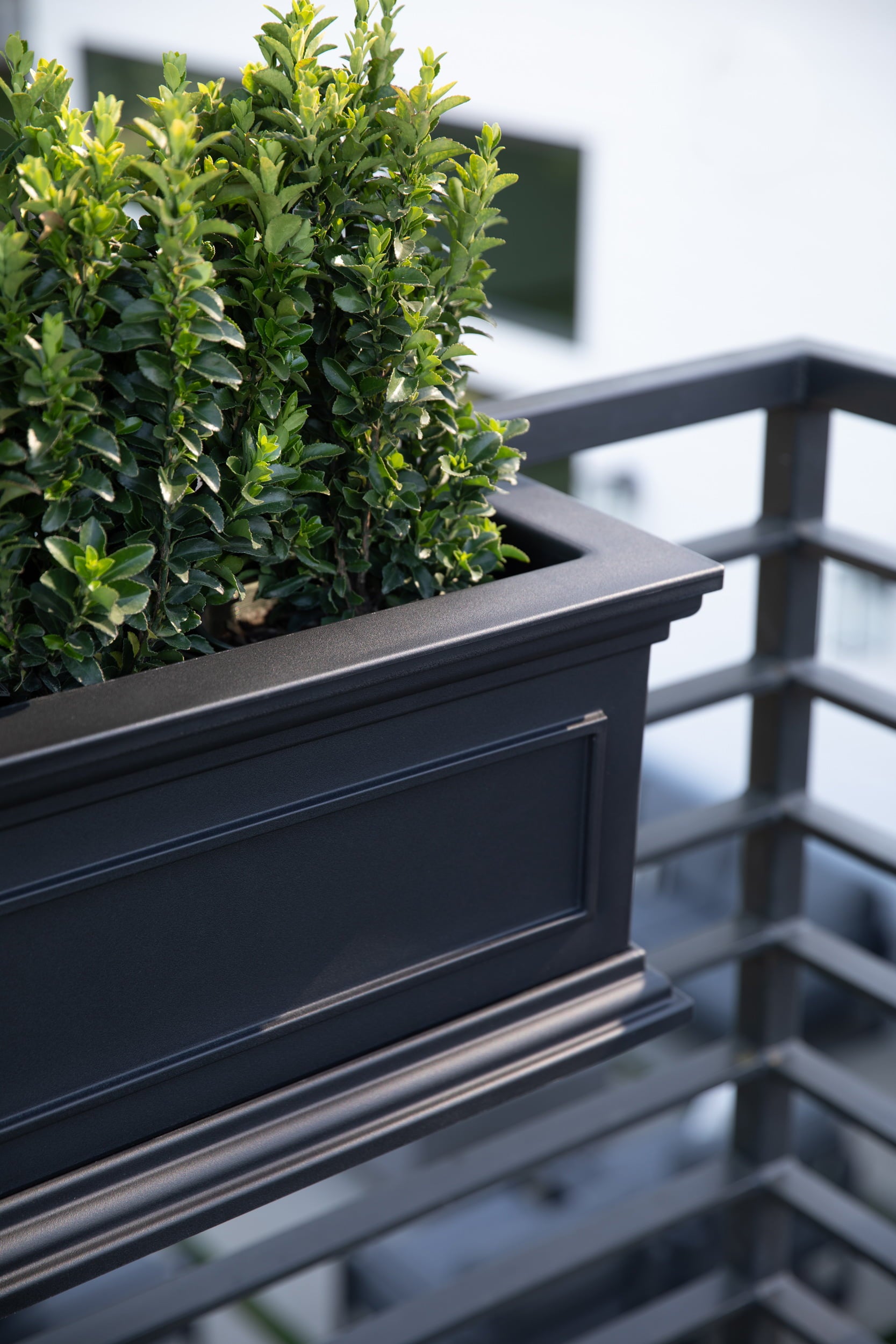 Veradek Brixton Window Box 36