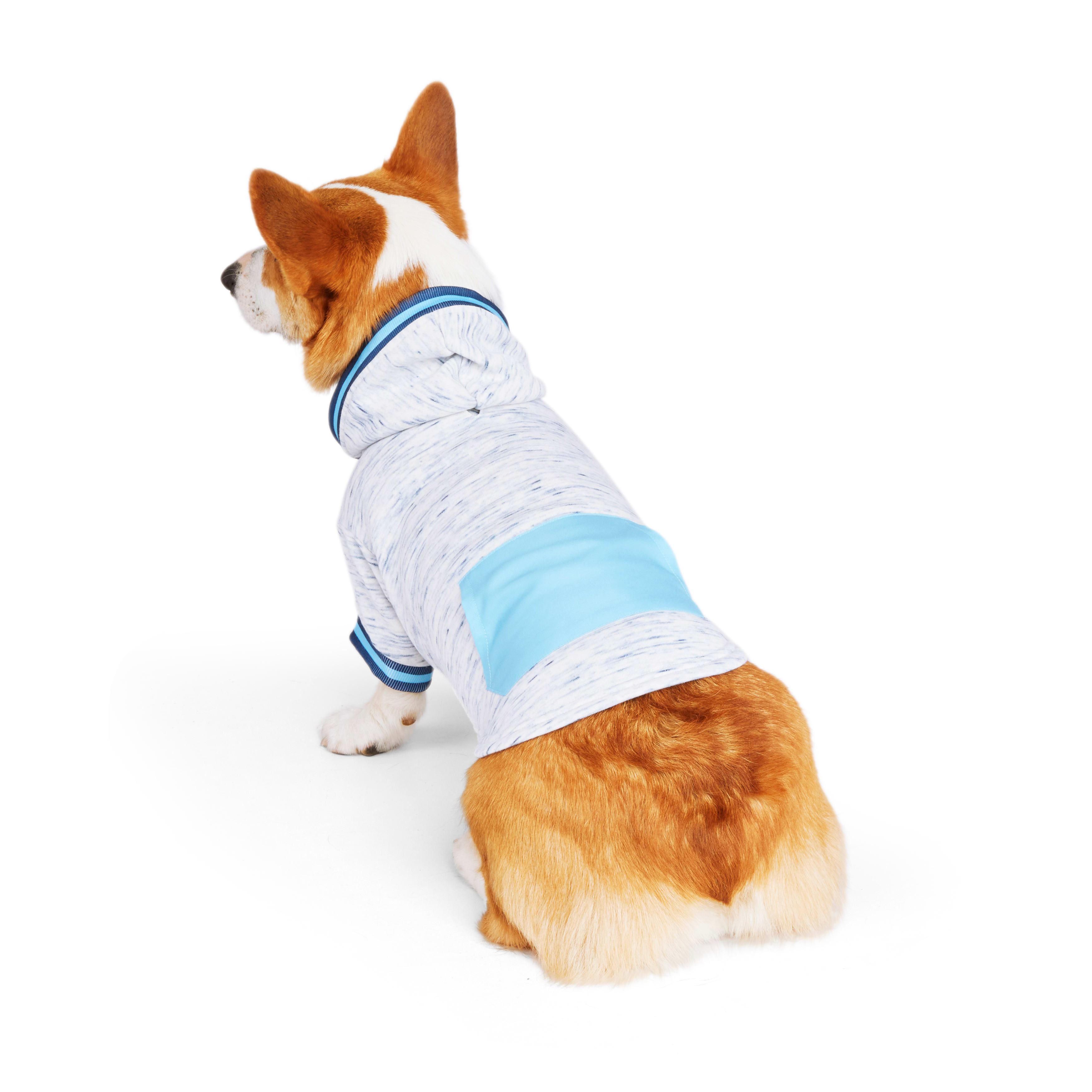 YOULY Blue Spacedye Dog Hoodie， X-Small