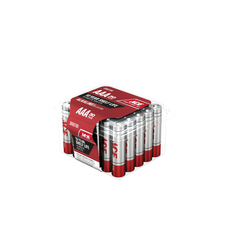 BATTERY ALKLN AAA 30PK