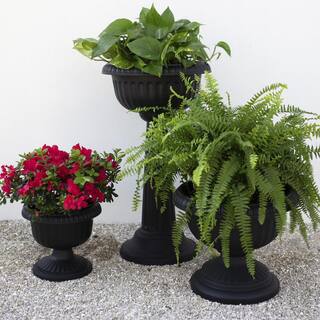 Bloem Grecian 12 in. Black Plastic Urn Planter GU12-00