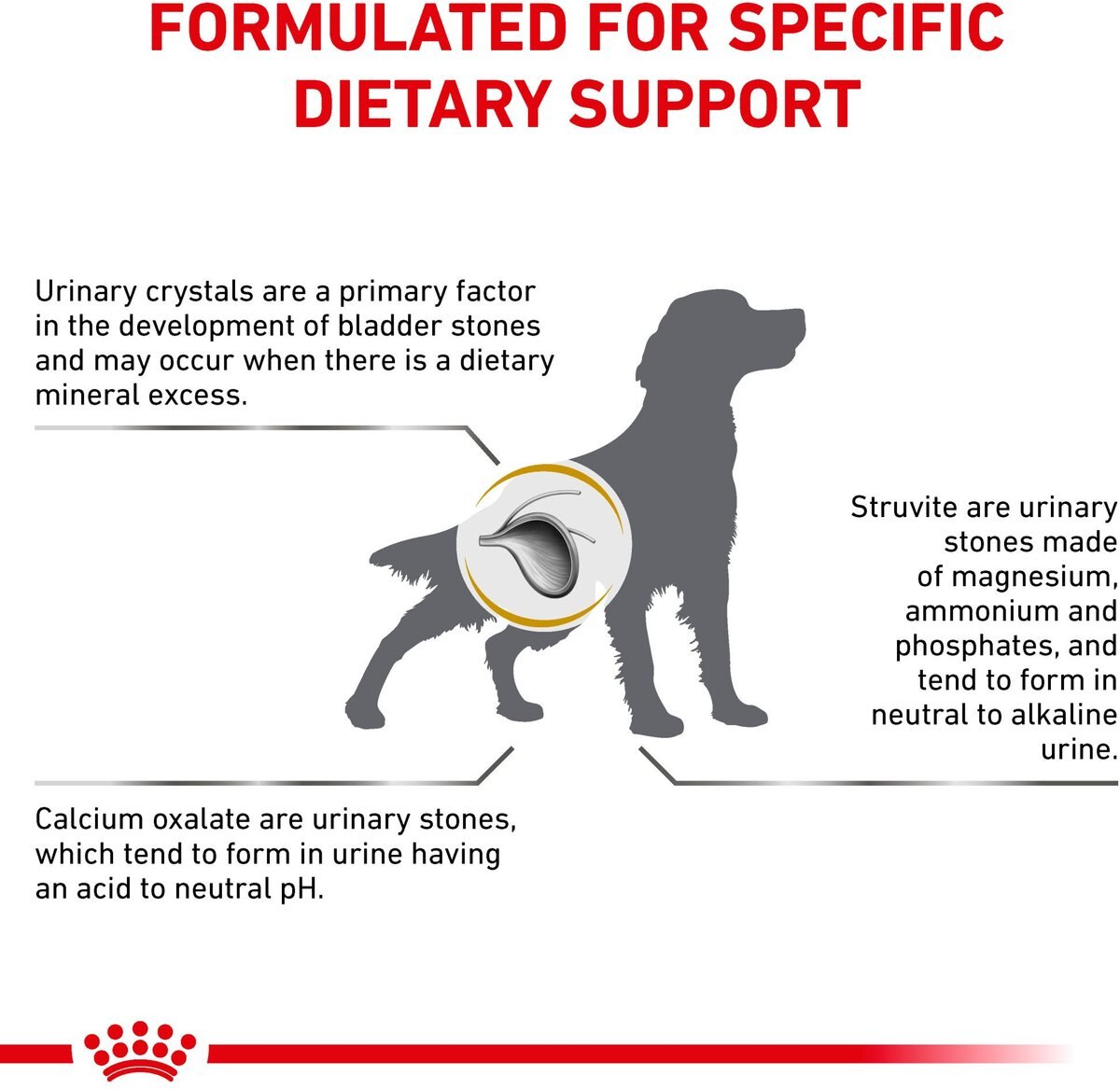 Royal Canin Veterinary Diet Adult Urinary SO Dry Dog Food