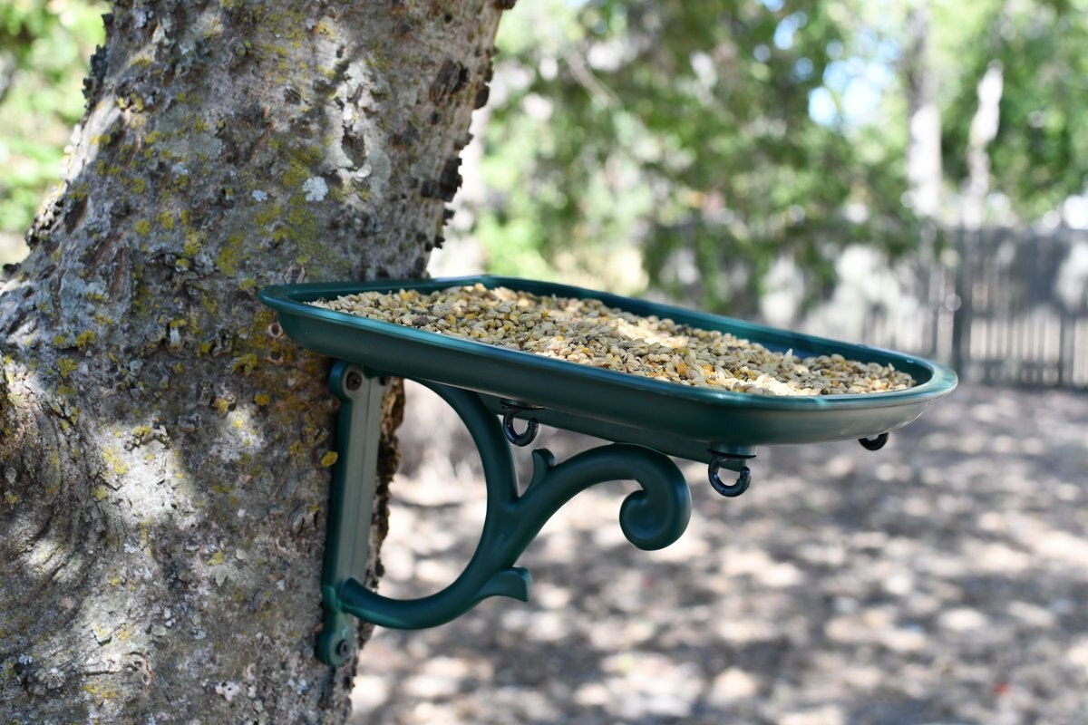 My Favorite Chicken Urban Garden Seed Tray Table Mountable Bird Feeder， Green