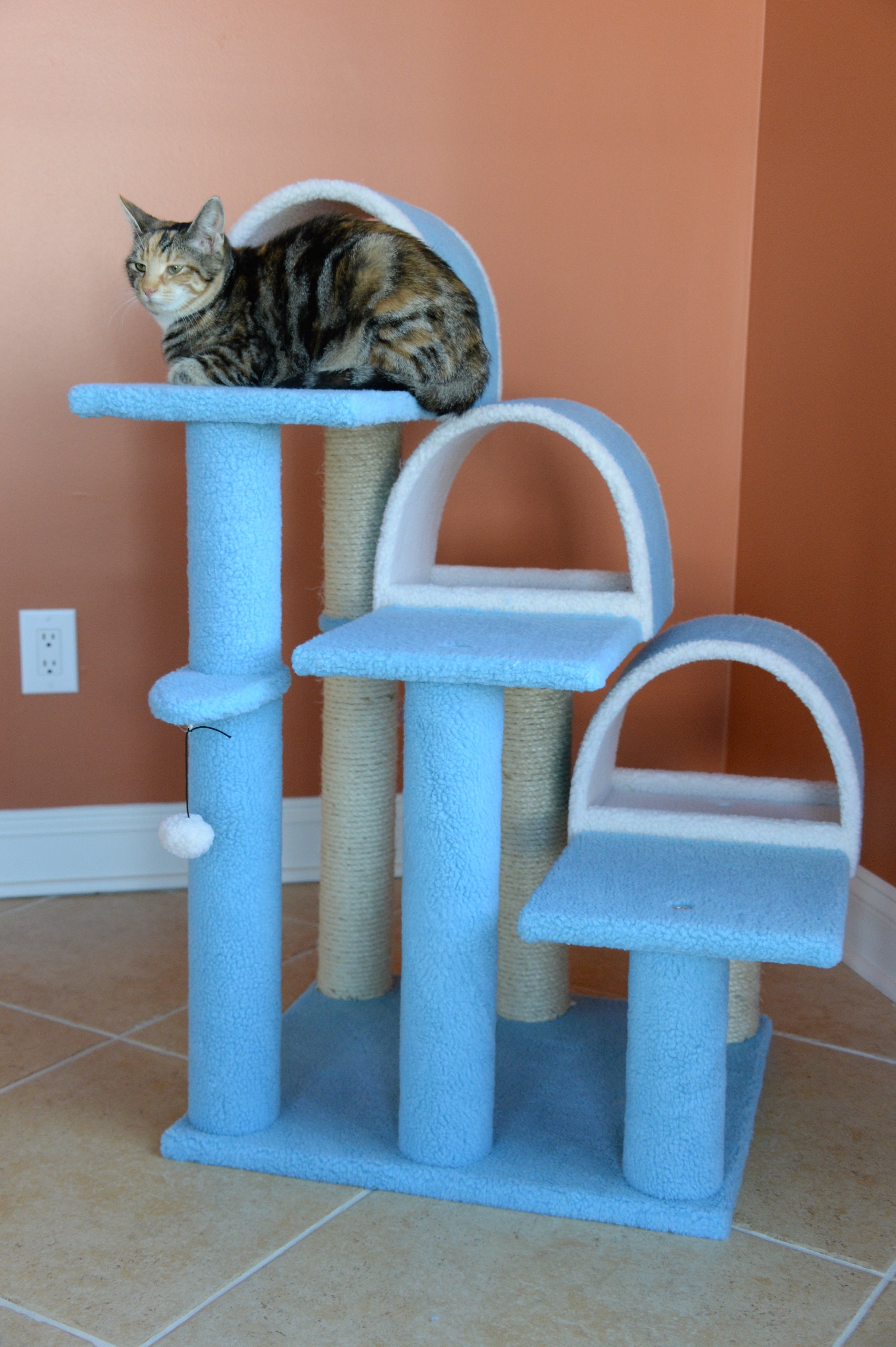 Armarkat Classic real wood Cat Tree Model B3803， 38 inch Sky Blue