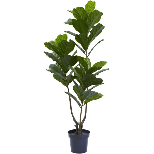 65inch Fiddle Leaf Tree UV Resistant (Indoor/Outdoor)