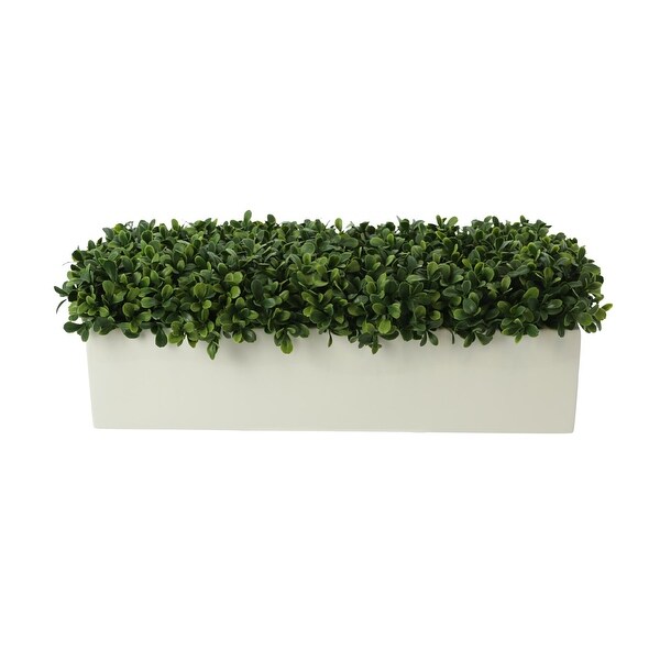 UV Rated Outdoor Boxwoods Arranged in a Rectangular Planter