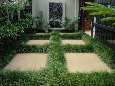 Classy Groundcovers - Mondo Grass Monkey Grass， Lilyturf， Japanese Snake's Beard， Kyoto， Compactus Mondo Grass {54 Pots - 2 1/2 inch Square}