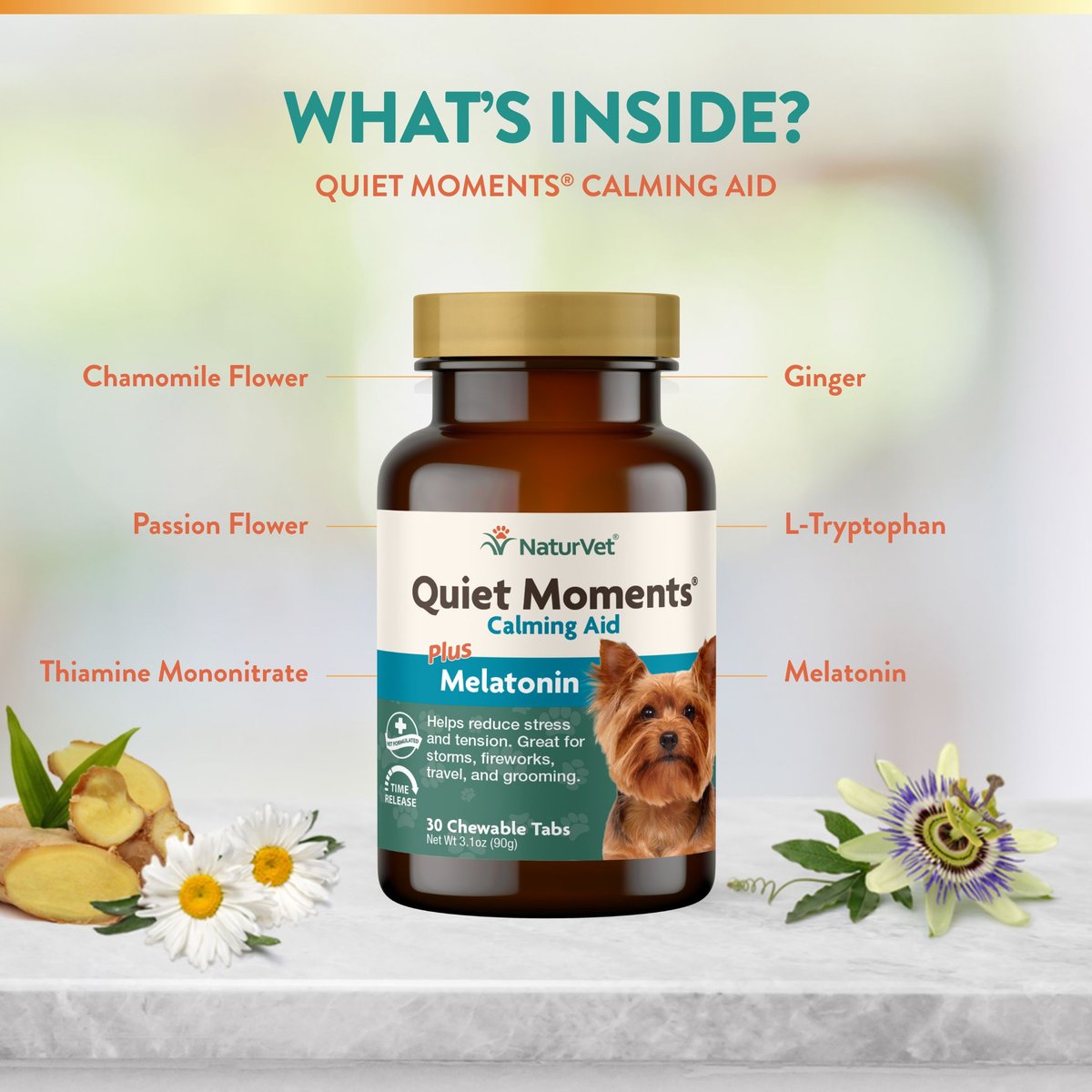 NaturVet Quiet Moments Chewable Tablets Calming Supplement for Dogs