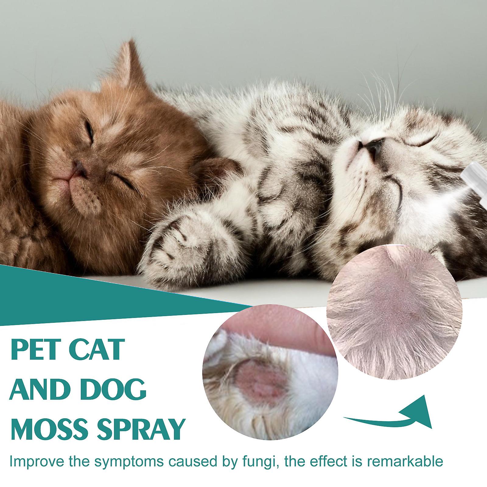 Pet Cat And Dog Moss Spray Skin Moss To Remove Mites To Relieve Pet Cleaning Care Anti-itch Spray