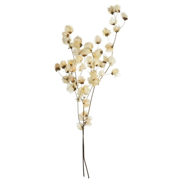 Vickerman 2024 Natural Bleached Cara Blossom Spray. Includes 60 flower buds. Dried.