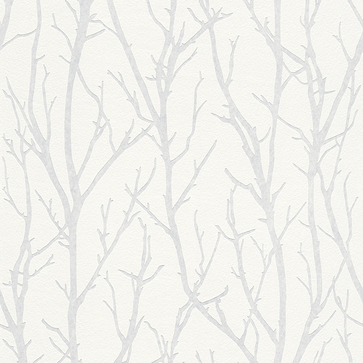 Sample Redford White Birch Paintable Wallpaper Home Fashions