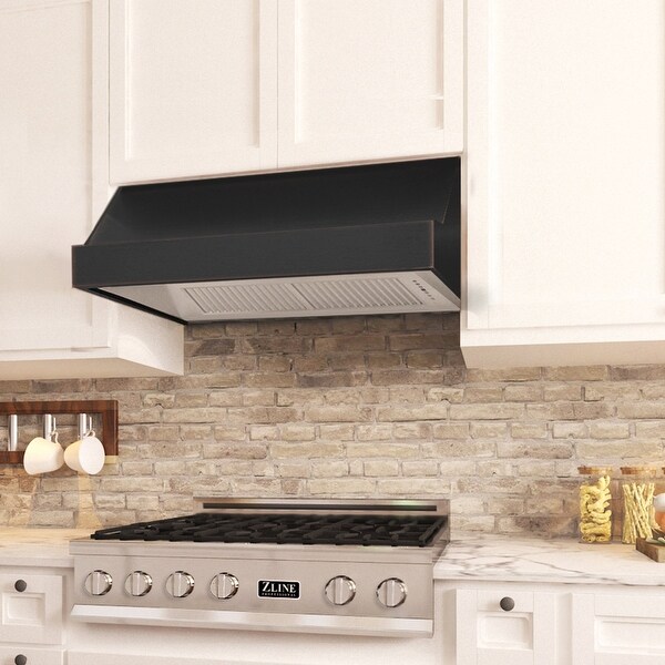 ZLINE Designer Series Under Cabinet Range Hood