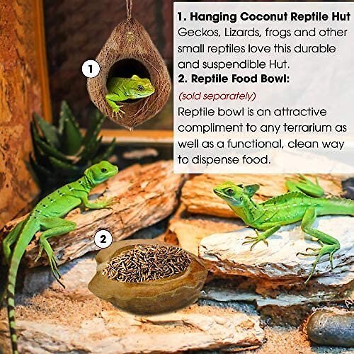 SunGrow Crested and Leopard Gecko Coconut Hide， Humid Cave for Frog， Reptile and Amphibian