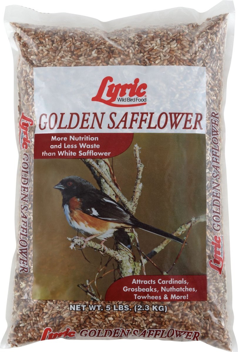 Lyric Golden Safflower Seed Wild Bird Food