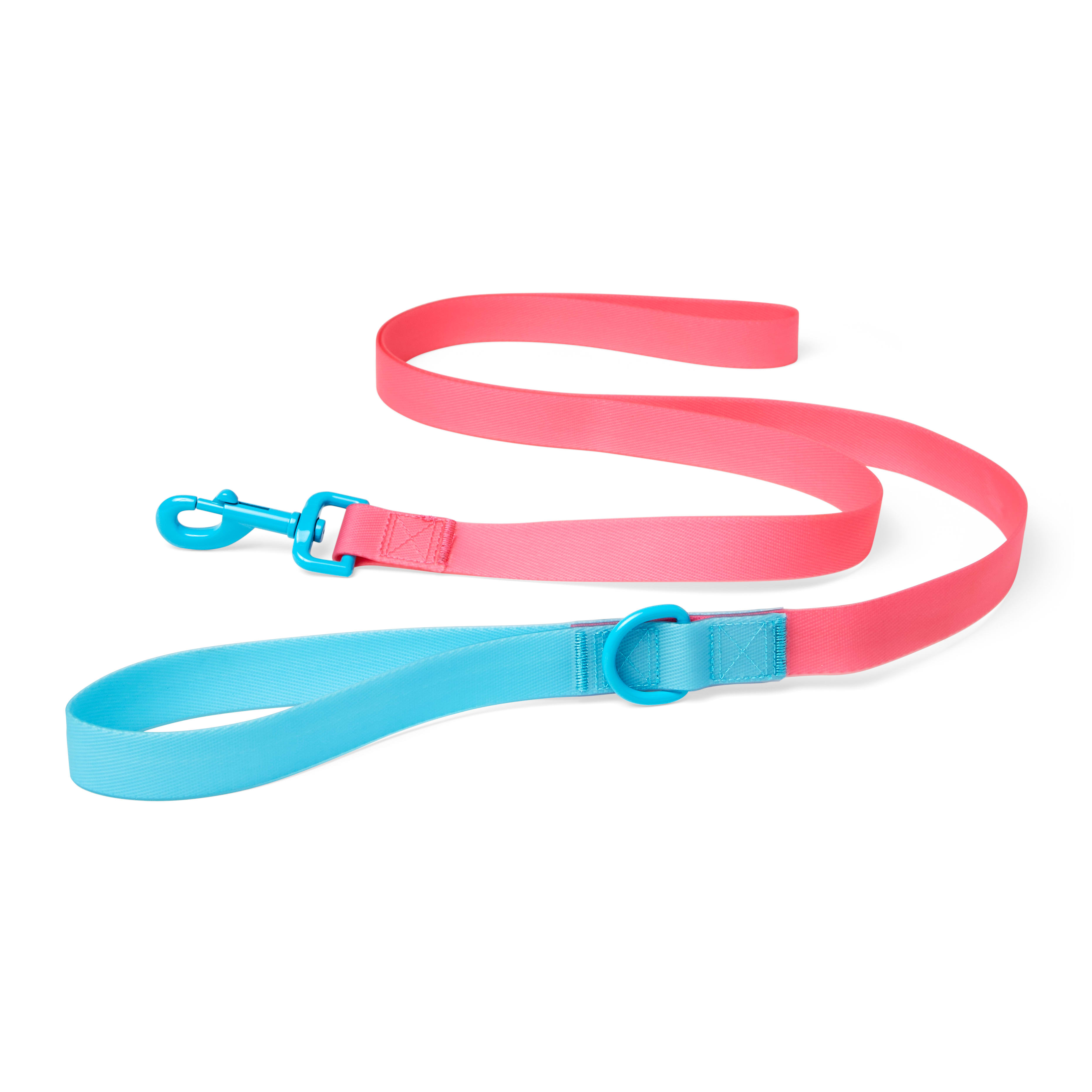 YOULY The Extrovert Water-Resistant Pink  Blue Colorblocked Dog Leash， 6 ft.