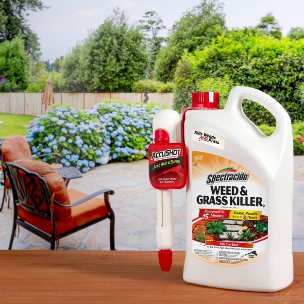 Weed And Grass Accushot 1 Gallon Ready To Use Spectracide