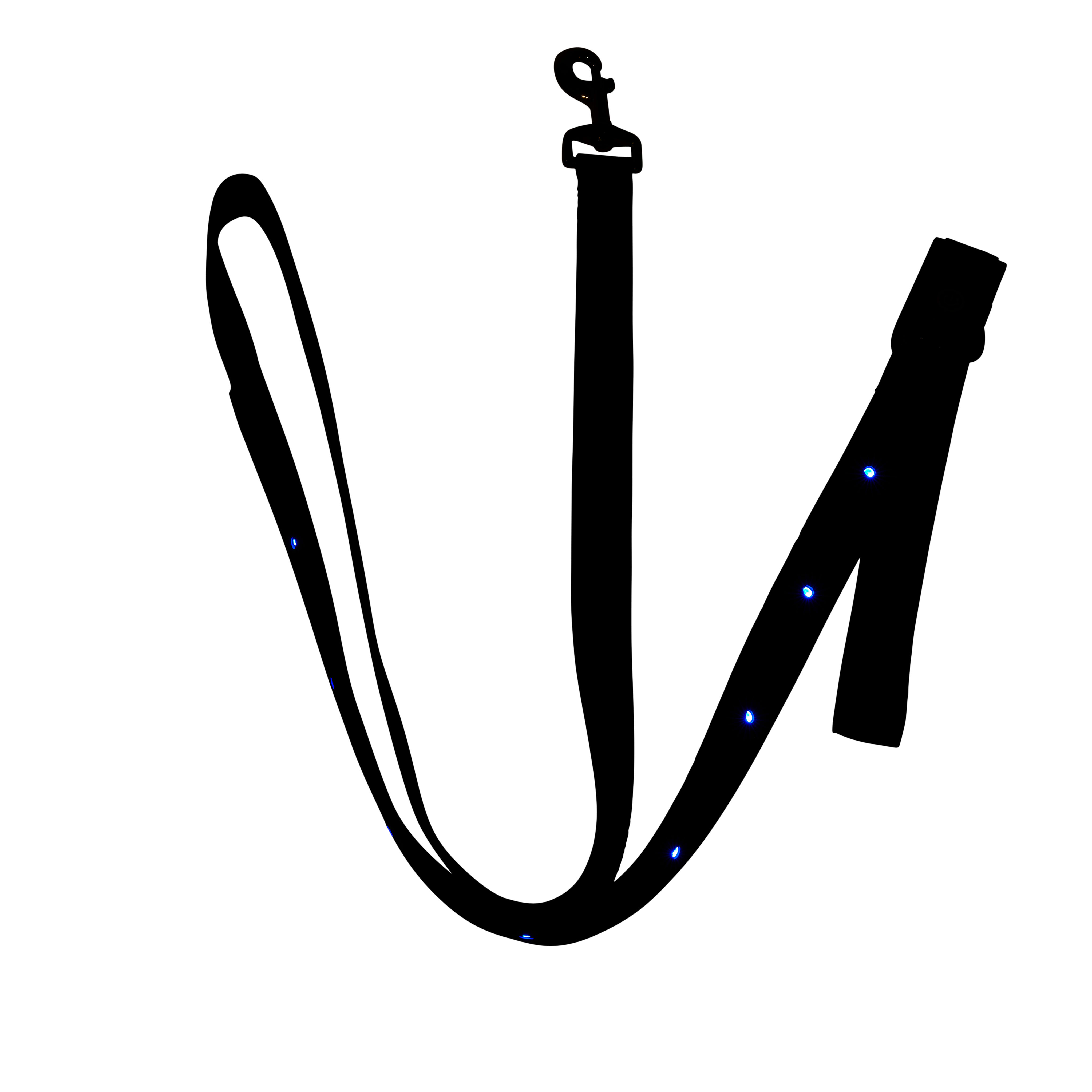 YOULY The Extrovert LED Dog Leash， 6 ft.