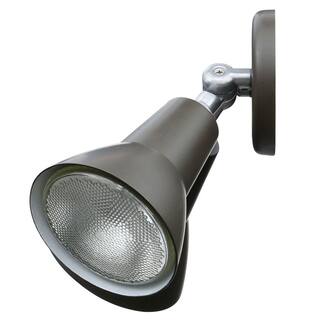 Thomas Lighting 2-Light Painted Bronze Outdoor Wall-Mount Spot Light SL494227