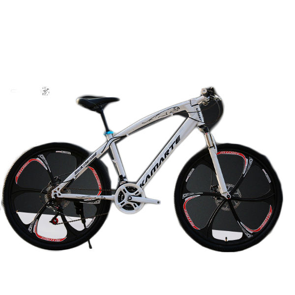 2020 New design Professional OEM ODM design custom brand alloy frame 26'' china beach cruiser cycling fat bike